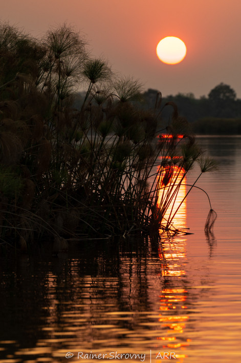 Sonnenuntergang im Okavango-Delta